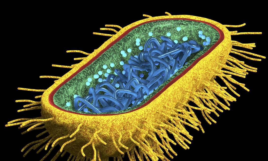 O alerta silencioso: superbactérias poderão matar mais que o câncer