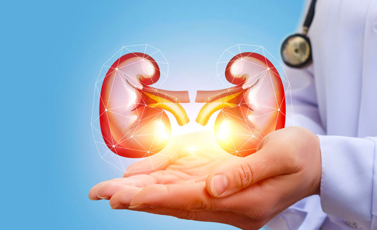 Desigualdades em nefrologia: acesso e resultados de saúde ainda variam dentro do Brasil