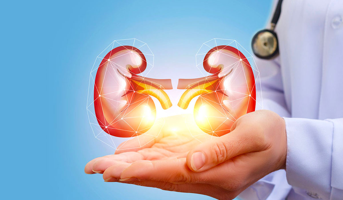 Desigualdades em nefrologia: acesso e resultados de saúde ainda variam dentro do Brasil