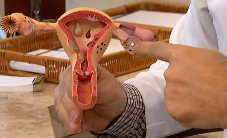 HPV por trás de quase 600 mortes: câncer de vulva e vagina acende alerta sobre prevenção no Brasil