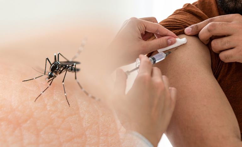 Instituto Butantan Autorizado a Produzir Vacina Nacional Contra Chikungunya