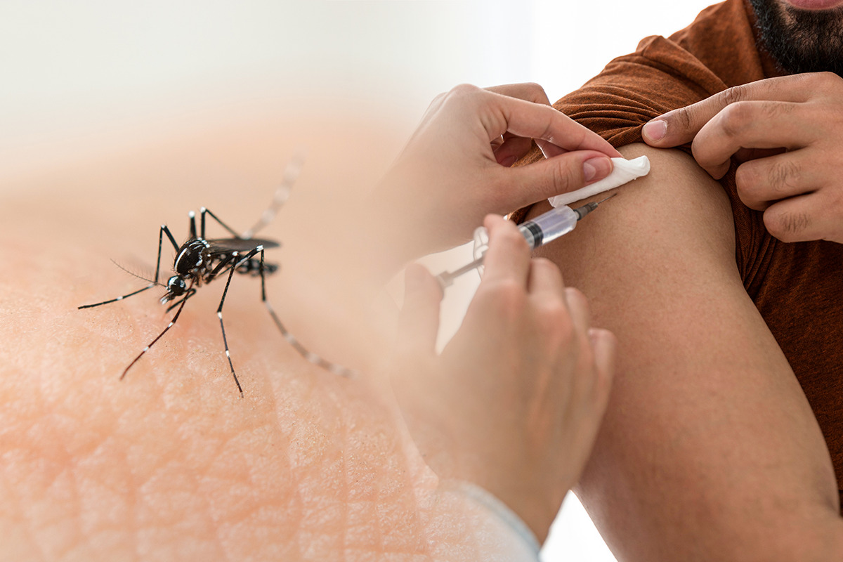Instituto Butantan Autorizado a Produzir Vacina Nacional Contra Chikungunya