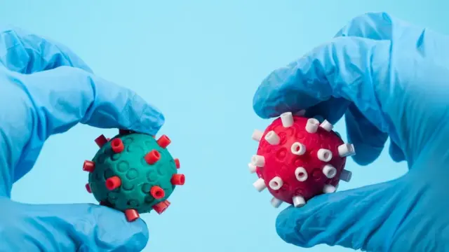 Cobertura Vacinal Contra Influenza Permanece Crítica nos Principais Centros Populacionais Brasileiros